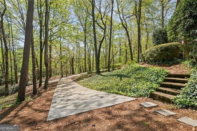 5520 Glen Errol Rd, Atlanta, GA 30327 - view of property's community