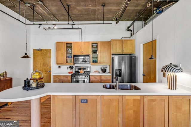 kitchen featuring glass insert cabinets, a towering ceiling, appliances with stainless steel finishes, light countertops, and a sink