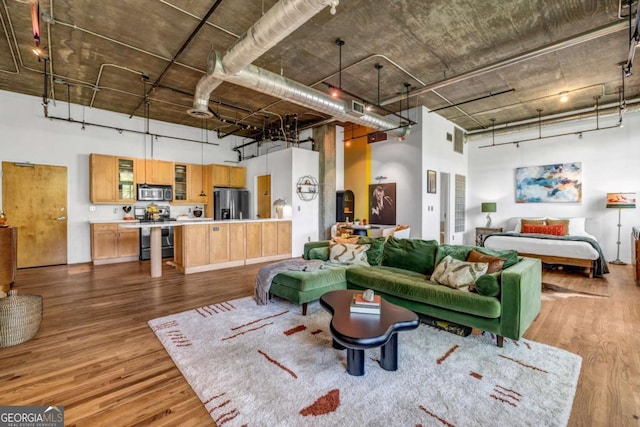 living room featuring a high ceiling, dark wood-style flooring, and rail lighting