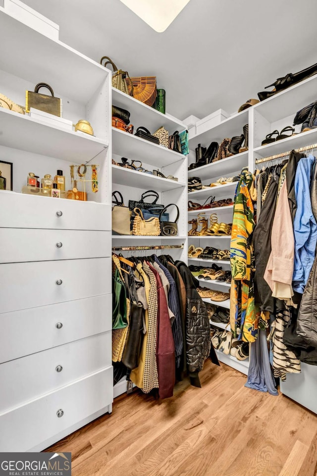 walk in closet featuring wood finished floors