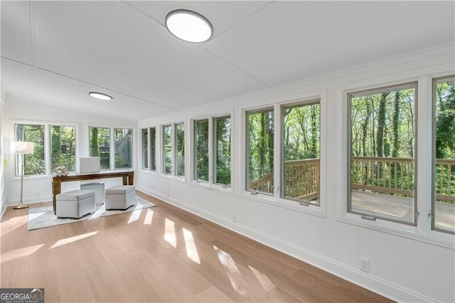 808 Sherwood Rd, Gainesville, GA 30501 - unfurnished sunroom featuring wood finished floors and vaulted ceiling