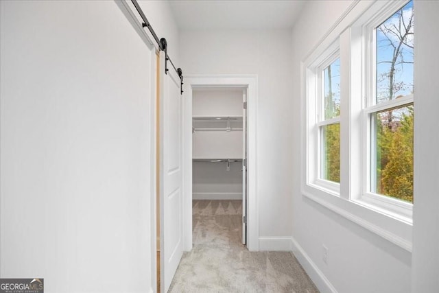 hall featuring a barn door, baseboards, and carpet floors