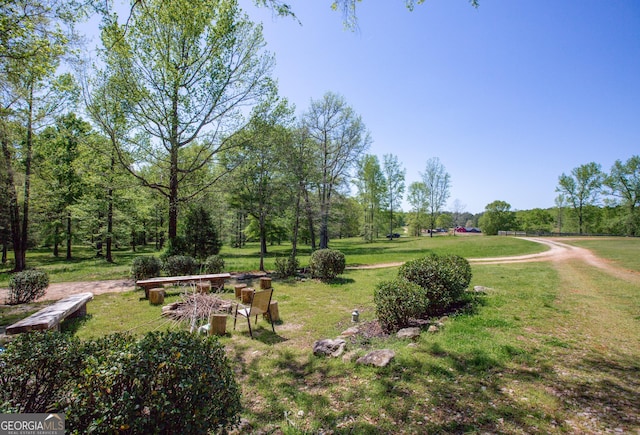 516 Turner Rd, Concord, GA 30206 - view of grassy yard