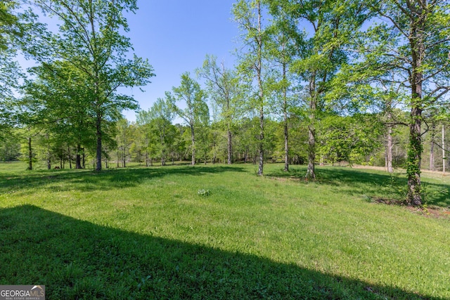 516 Turner Rd, Concord, GA 30206 - view of green lawn