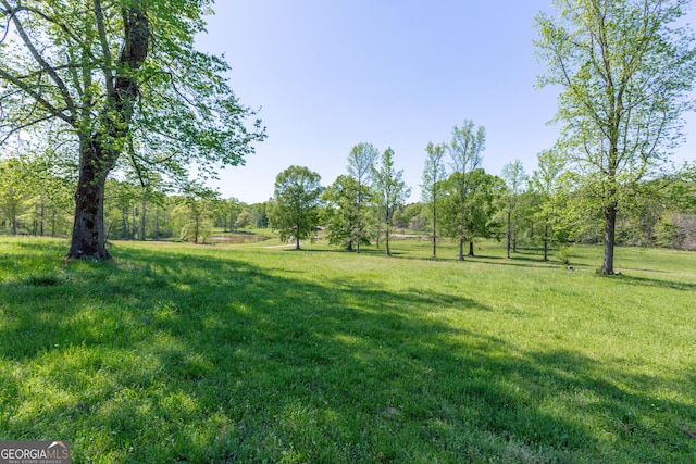 516 Turner Rd, Concord, GA 30206 - view of grassy yard