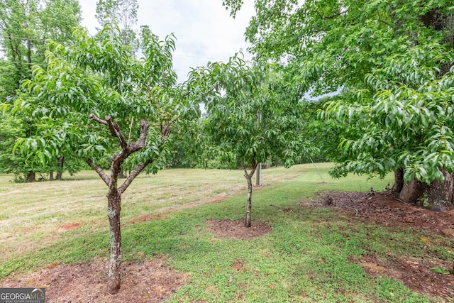 516 Turner Rd, Concord, GA 30206 - view of grassy yard