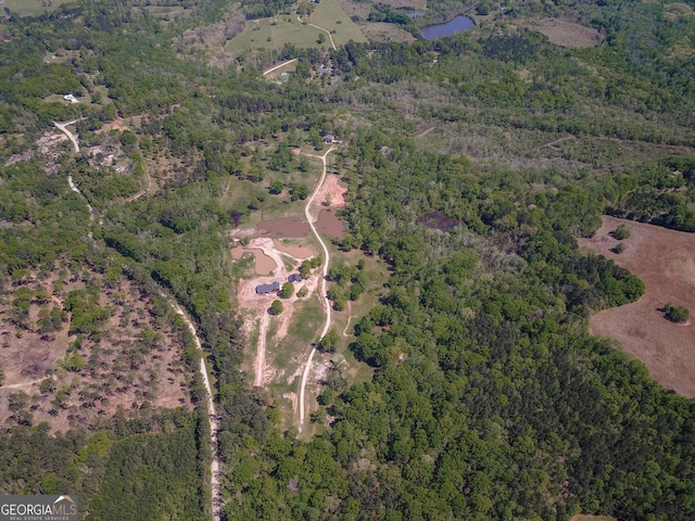 516 Turner Rd, Concord, GA 30206 - view of property location featuring a heavily wooded area