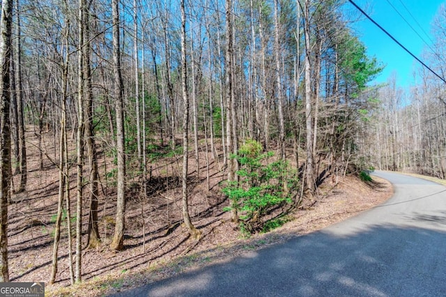 LOT694 S Satsuma Ct, Ellijay, GA 30540