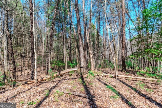 LOT694 S Satsuma Ct, Ellijay, GA 30540