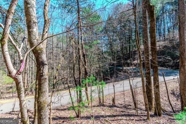 LOT694 S Satsuma Ct, Ellijay, GA 30540