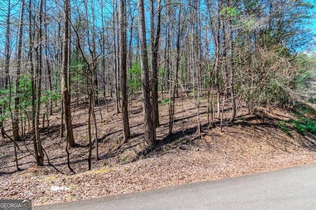 LOT694 S Satsuma Ct, Ellijay, GA 30540