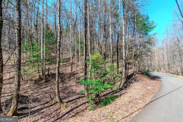 LOT694 S Satsuma Ct, Ellijay, GA 30540