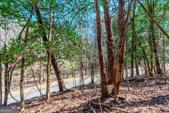 LOT694 S Satsuma Ct, Ellijay, GA 30540