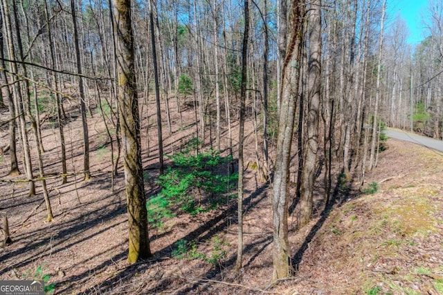 LOT694 S Satsuma Ct, Ellijay, GA 30540