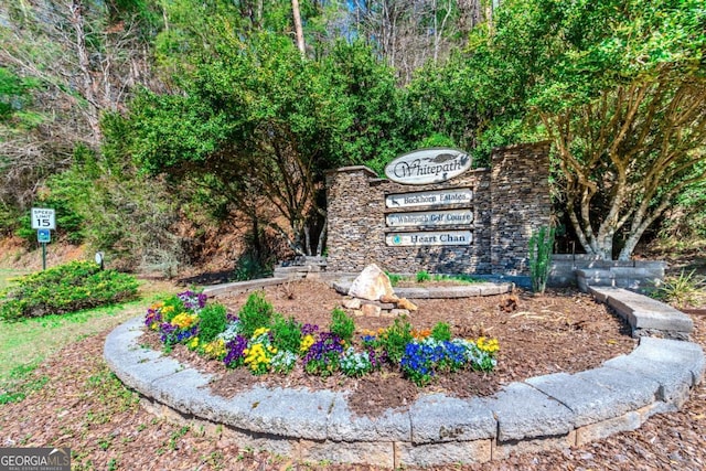 LOT694 S Satsuma Ct, Ellijay, GA 30540