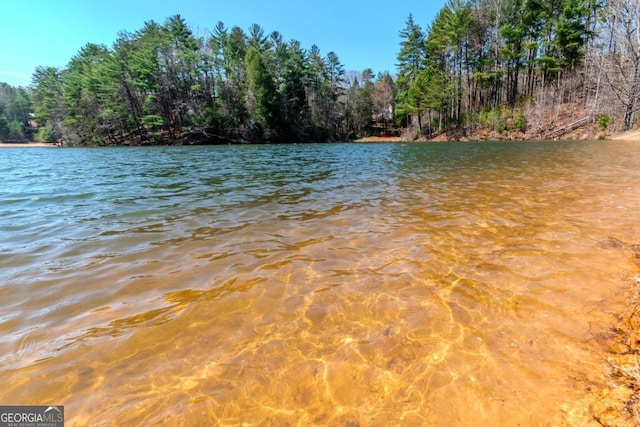 LOT694 S Satsuma Ct, Ellijay, GA 30540