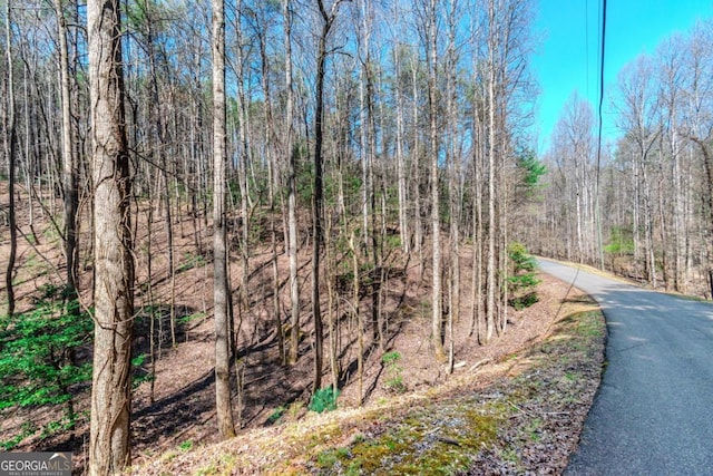 LOT694 S Satsuma Ct, Ellijay, GA 30540