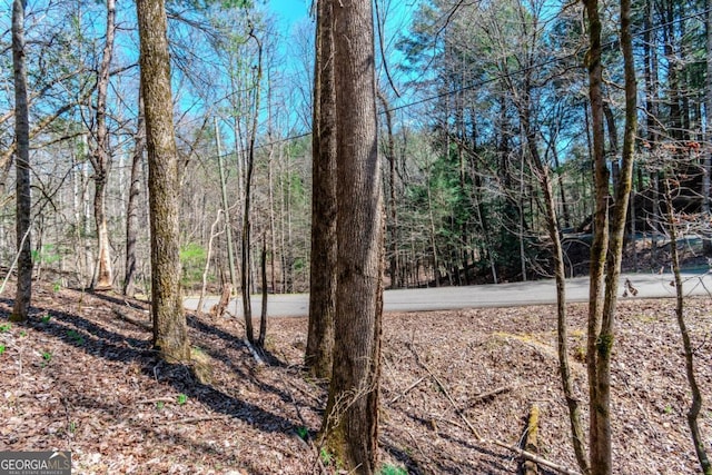 LOT694 S Satsuma Ct, Ellijay, GA 30540
