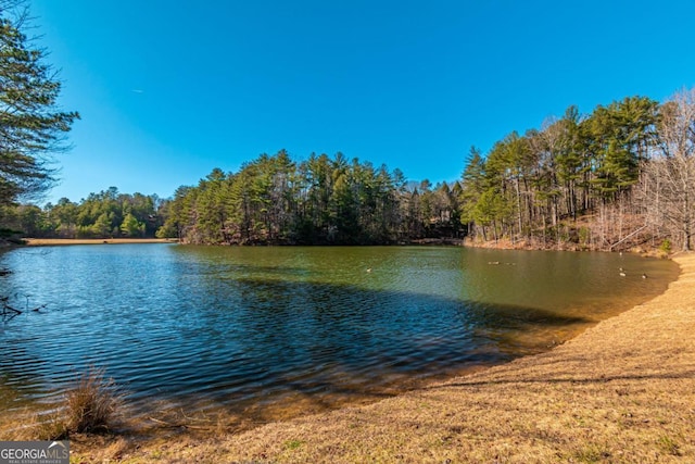 LOT694 S Satsuma Ct, Ellijay, GA 30540