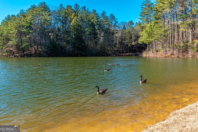 LOT694 S Satsuma Ct, Ellijay, GA 30540