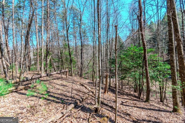 LOT694 S Satsuma Ct, Ellijay, GA 30540