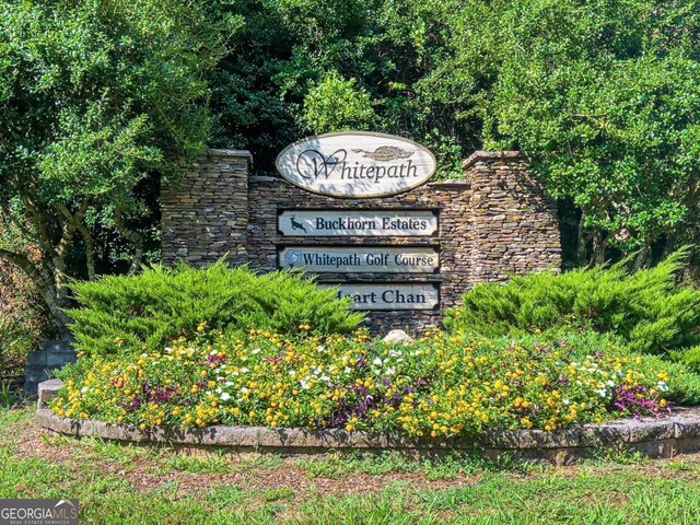 LOT694 S Satsuma Ct, Ellijay, GA 30540