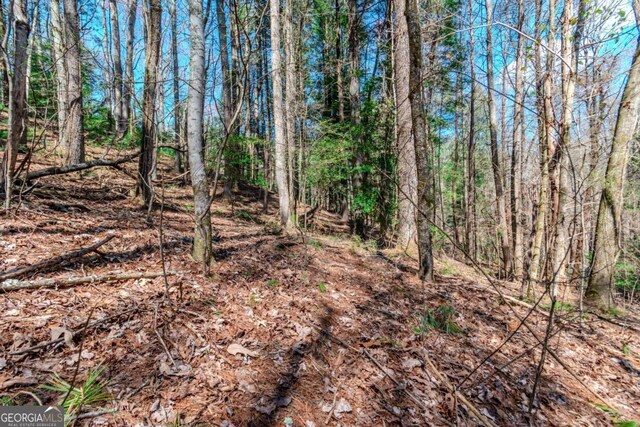 LOT694 S Satsuma Ct, Ellijay, GA 30540