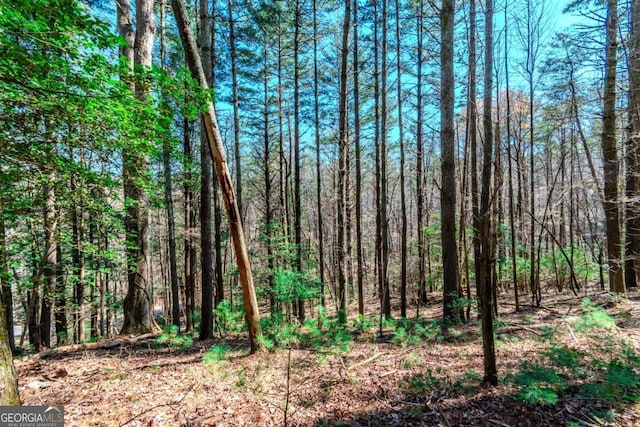 LOT694 S Satsuma Ct, Ellijay, GA 30540