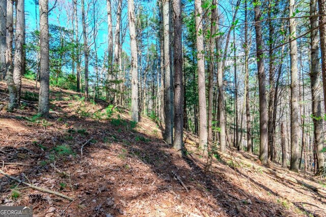 LOT694 S Satsuma Ct, Ellijay, GA 30540
