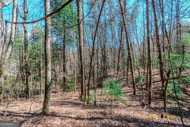 LOT694 S Satsuma Ct, Ellijay, GA 30540