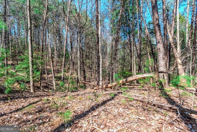 LOT694 S Satsuma Ct, Ellijay, GA 30540