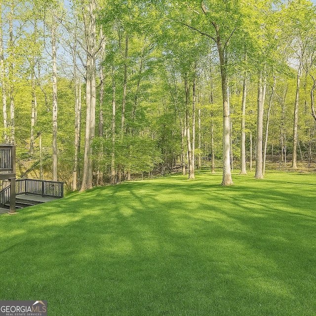 8660 Anchor On Lanier Ct, Gainesville, GA 30506 - view of green lawn