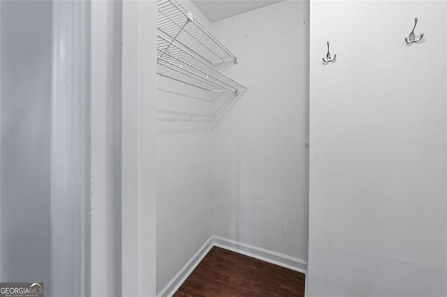 spacious closet featuring dark wood-type flooring