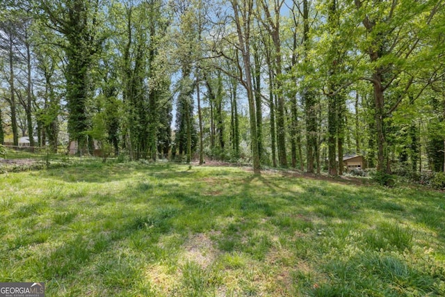 1093 Lanier Dr SW, Marietta, GA 30060 - view of yard with fence