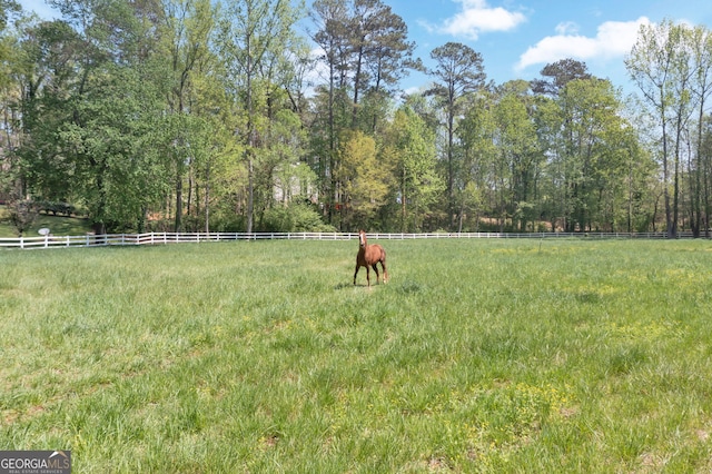 view of yard with a rural view and fence