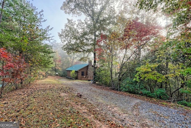view of yard featuring a forest view and dirt driveway
