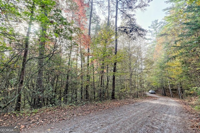 view of street with a wooded view