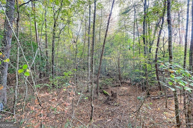 view of landscape featuring a view of trees