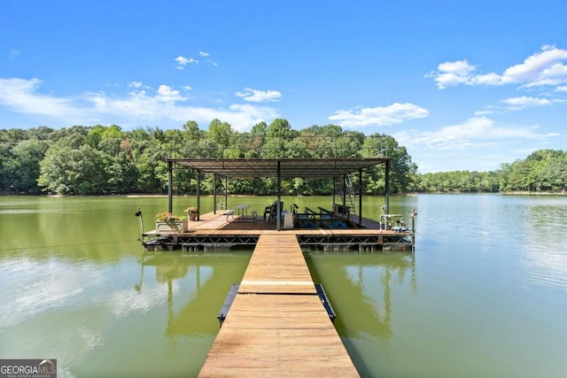 dock area with a water view