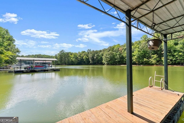 dock area with a water view