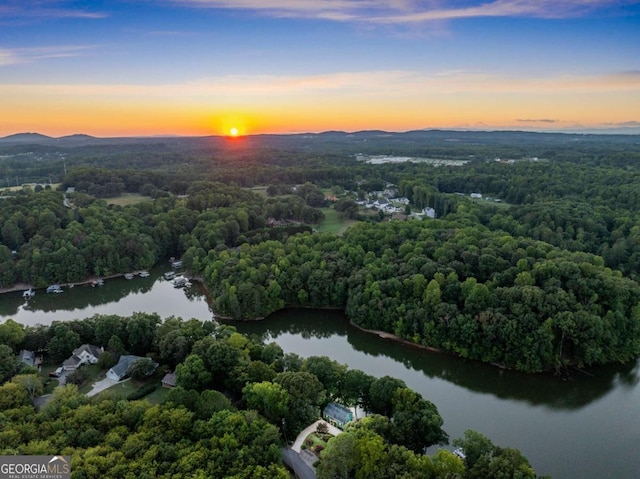birds eye view of property featuring a water view and a forest view