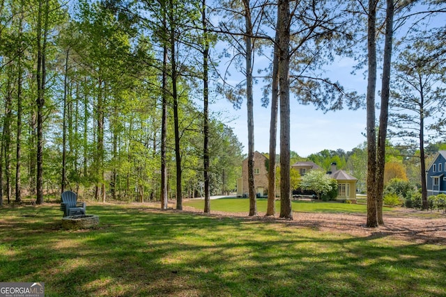 240 Trotters Rdg, Fayetteville, GA 30215 - view of home's community with a lawn