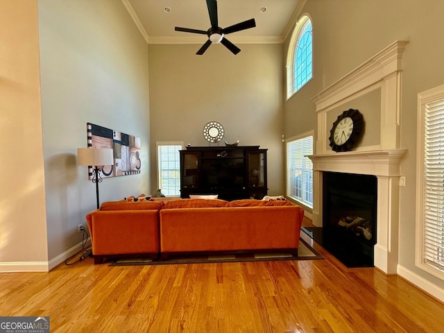 living area with ornamental molding, light wood-style flooring, a high ceiling, a ceiling fan, and a fireplace with flush hearth