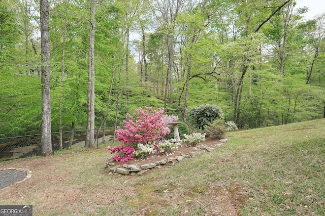 918 Guinevere Way SW, Lilburn, GA 30047 - view of yard featuring a forest view