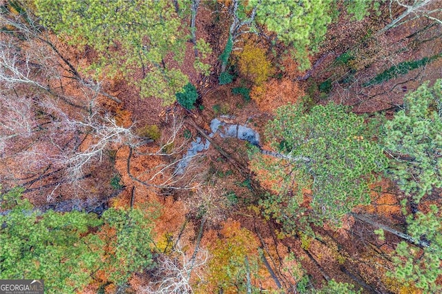 918 Guinevere Way SW, Lilburn, GA 30047 - aerial view of property's location