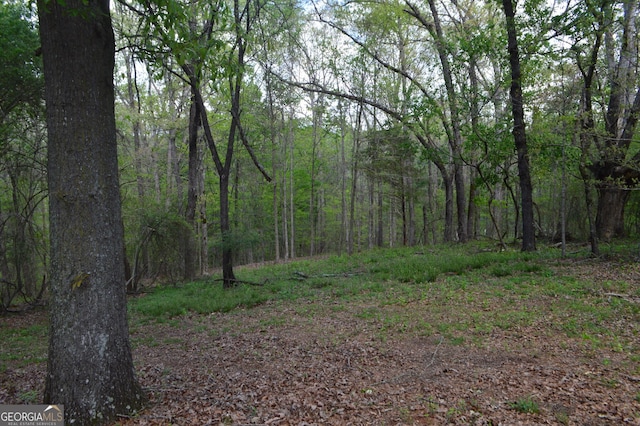 66 Topaz Ln, Royston, GA 30662 - view of nature with a view of trees