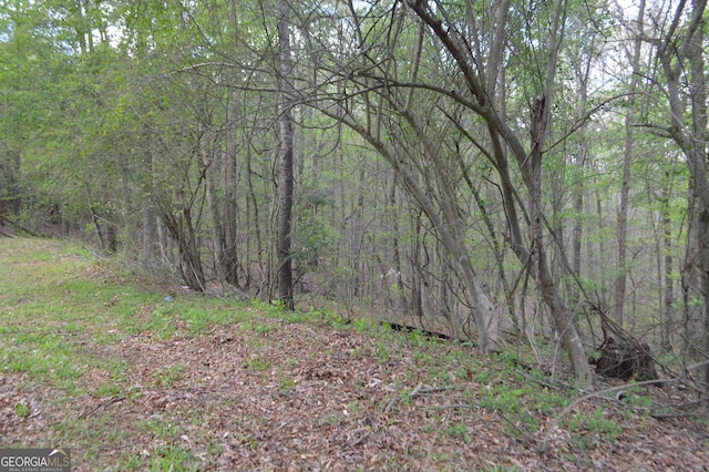 66 Topaz Ln, Royston, GA 30662 - view of nature featuring a view of trees
