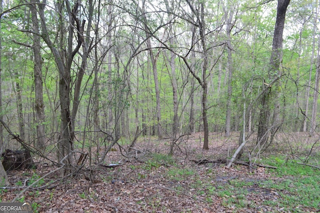 66 Topaz Ln, Royston, GA 30662 - view of nature with a forest view
