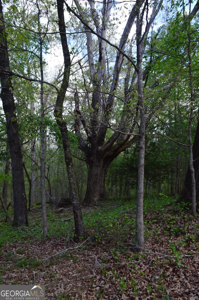 66 Topaz Ln, Royston, GA 30662 - view of nature with a view of trees