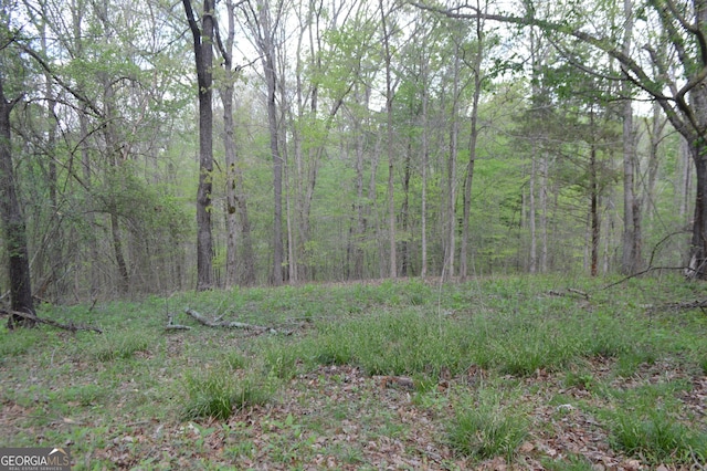 66 Topaz Ln, Royston, GA 30662 - view of local wilderness with a view of trees